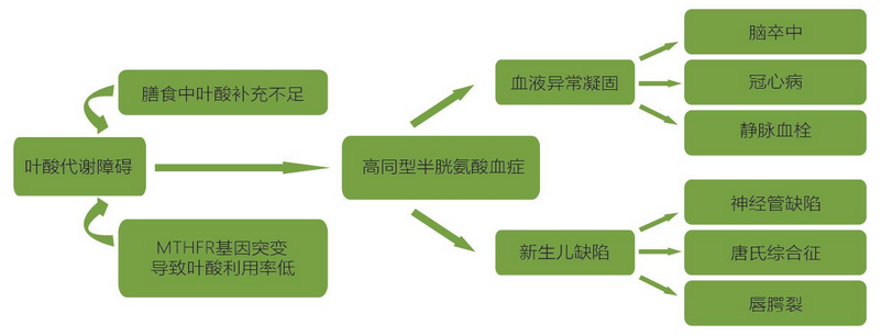 20200307235808425 Ggpoker官网-不凡成就非凡,相信品牌的力量