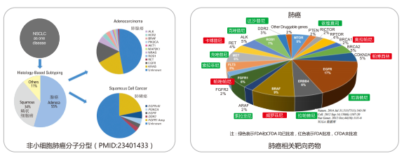 Ggpoker官网-不凡成就非凡,相信品牌的力量
