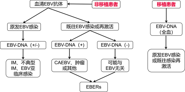 Ggpoker官网-不凡成就非凡,相信品牌的力量